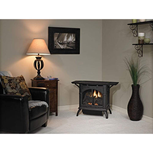 Empire Spirit 22" Vent-Free Cast Iron Stove 20,000 BTU Natural Gas Millivolt Control Porcelain Black VFD20CC30BN
