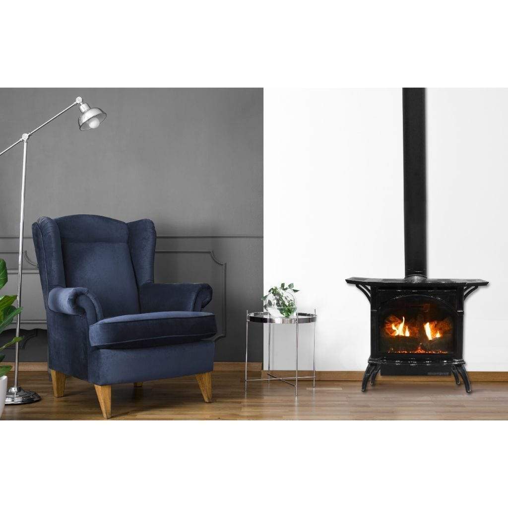 Empire Spirit 28 Inch Natural Gas Stove Direct Vent Cast Iron Matte Black Finish in a room