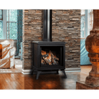 Kingsman FDV200S 23" Freestanding Intermittent Pilot Proflame 1, Propane Gas Direct Vent Stove