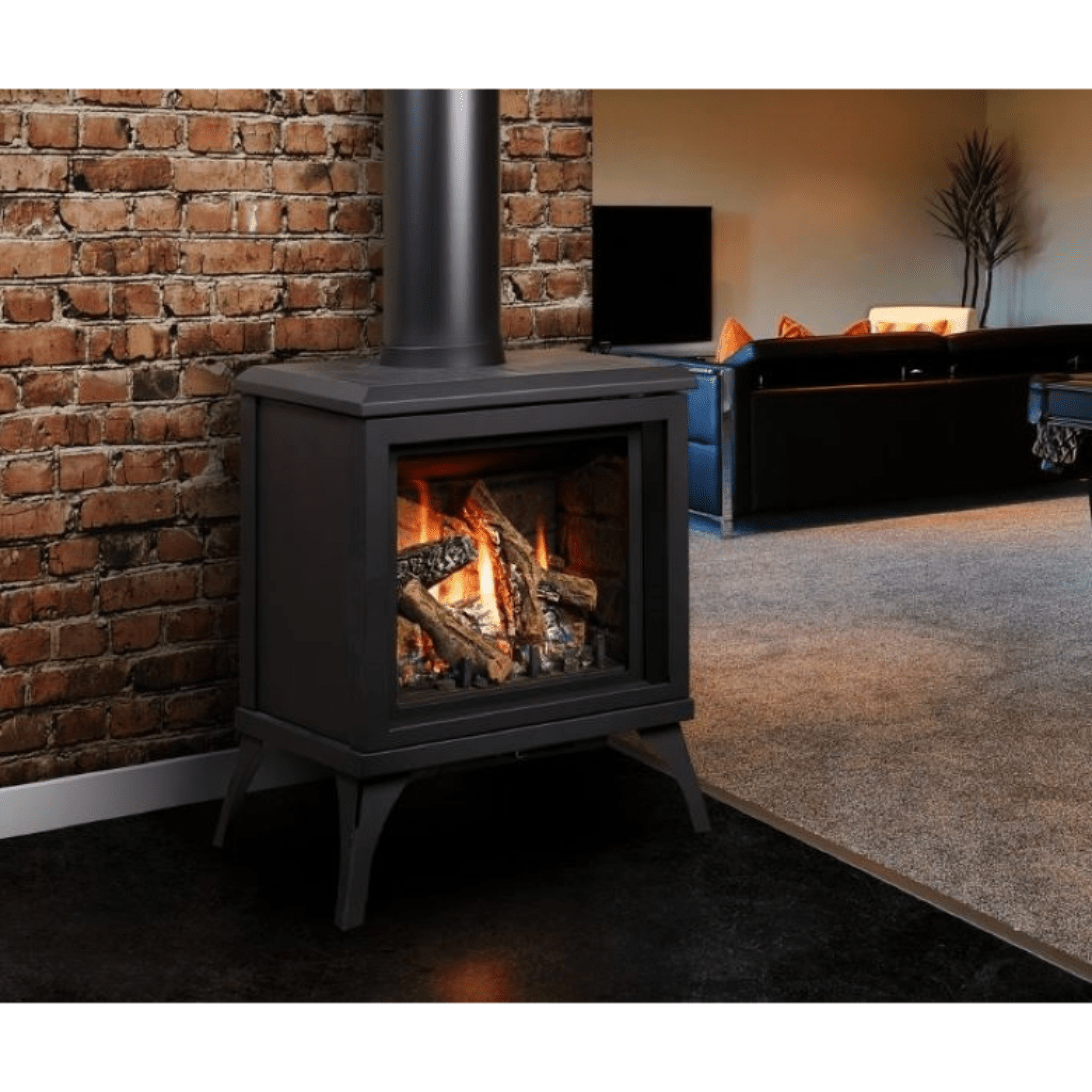 Kingsman FDV200S 23" Freestanding Intermittent Pilot Proflame 1, Propane Gas Direct Vent Stove