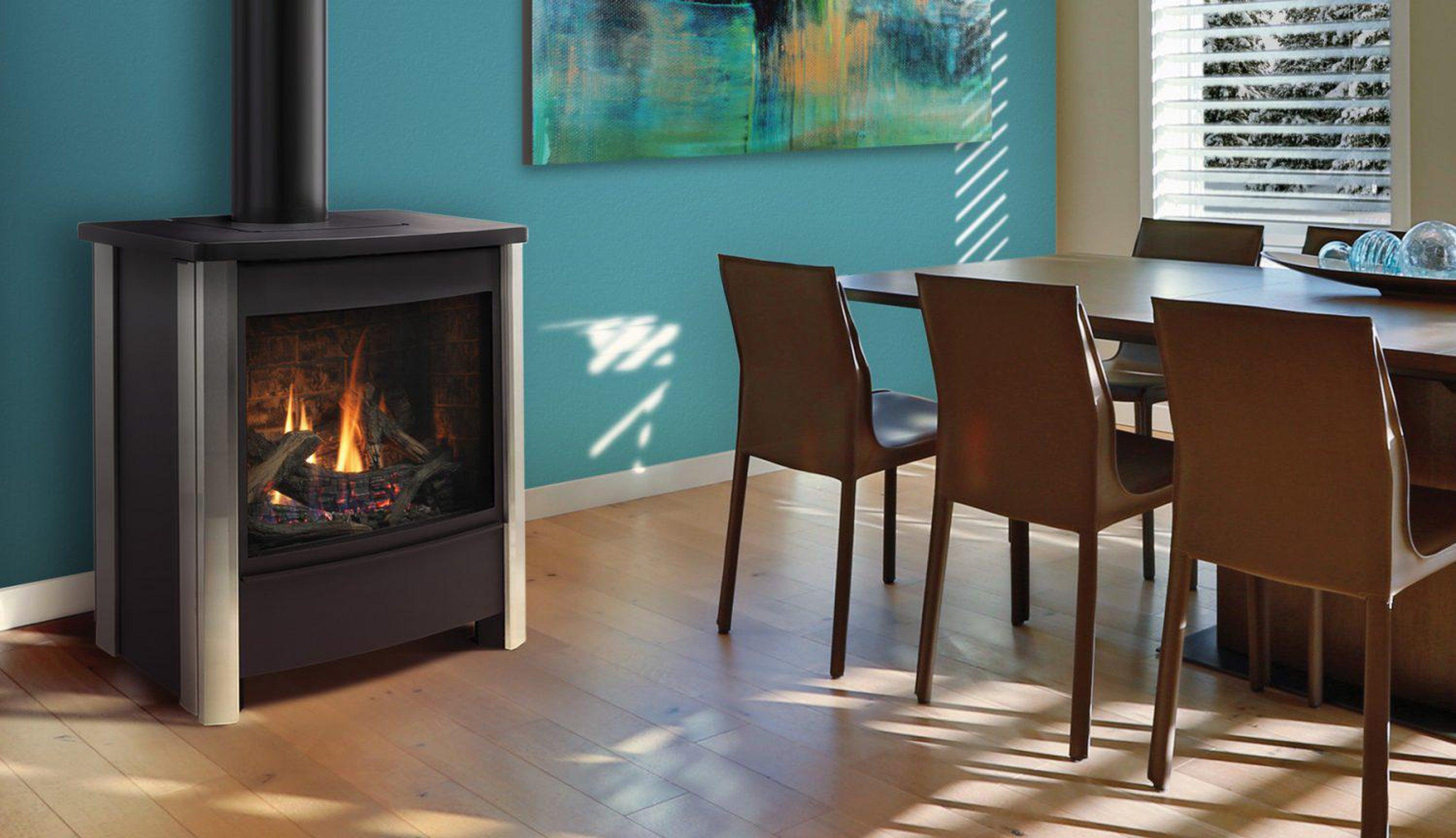 Kingsman FDV451 27" Freestanding Intermittent Pilot Proflame 1, Propane Gas Direct Vent Stove