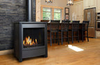 Kingsman FDV451 27" Freestanding Intermittent Pilot Proflame 1, Natural Gas Direct Vent Stove
