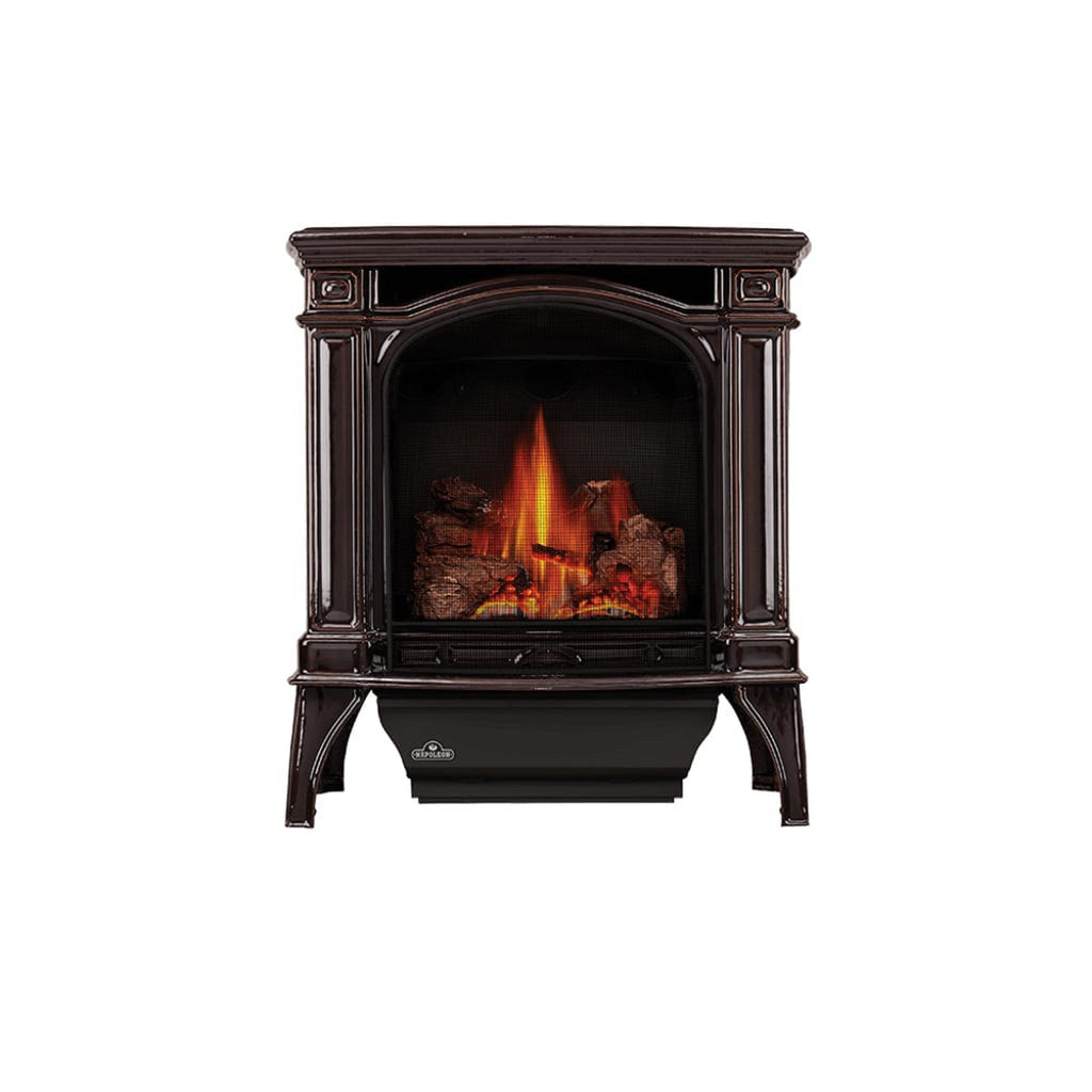 Napoleon Bayfield 24" Majolica Brown Direct Vent Cast Iron Gas Stove