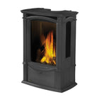 Napoleon Castlemore 24" Metallic Black Direct Vent Cast Iron Gas Stove