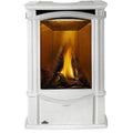 Napoleon Castlemore 24" Winter Frost Direct Vent Cast Iron Gas Stove