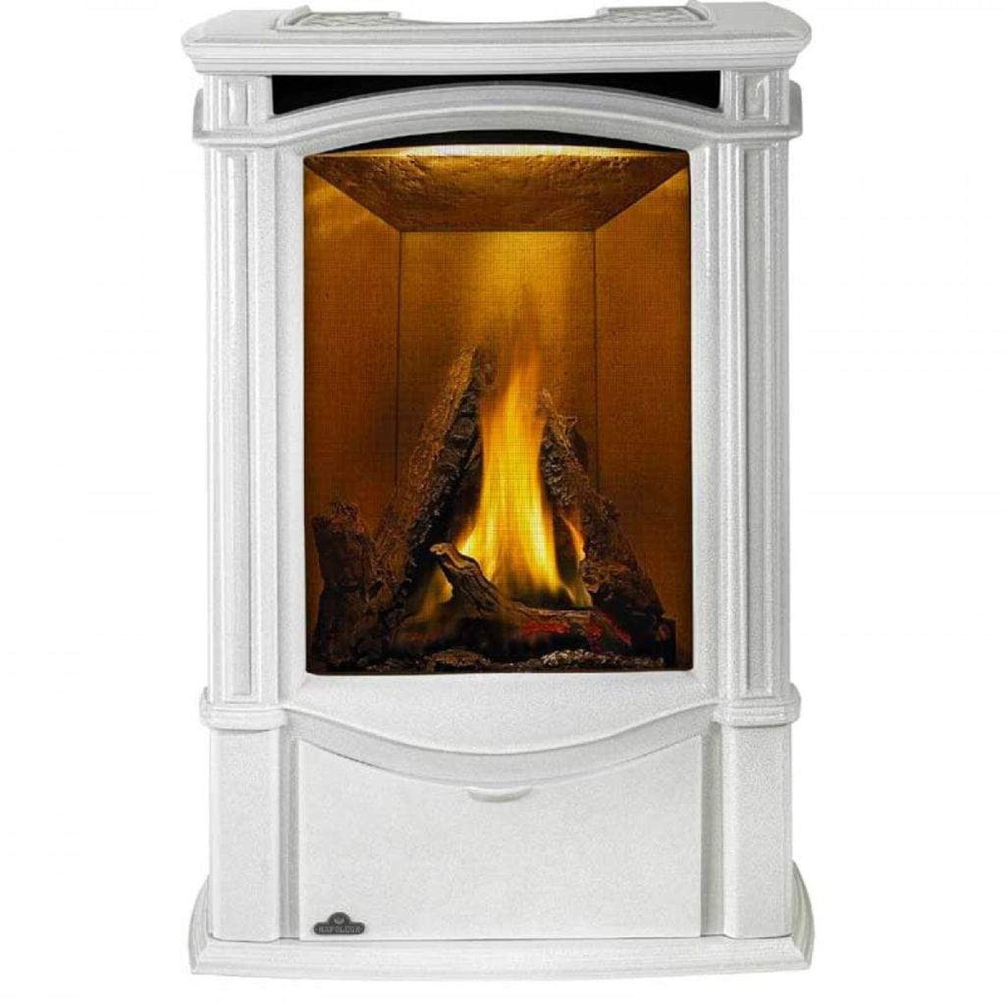 Napoleon Castlemore 24" Winter Frost Direct Vent Cast Iron Gas Stove