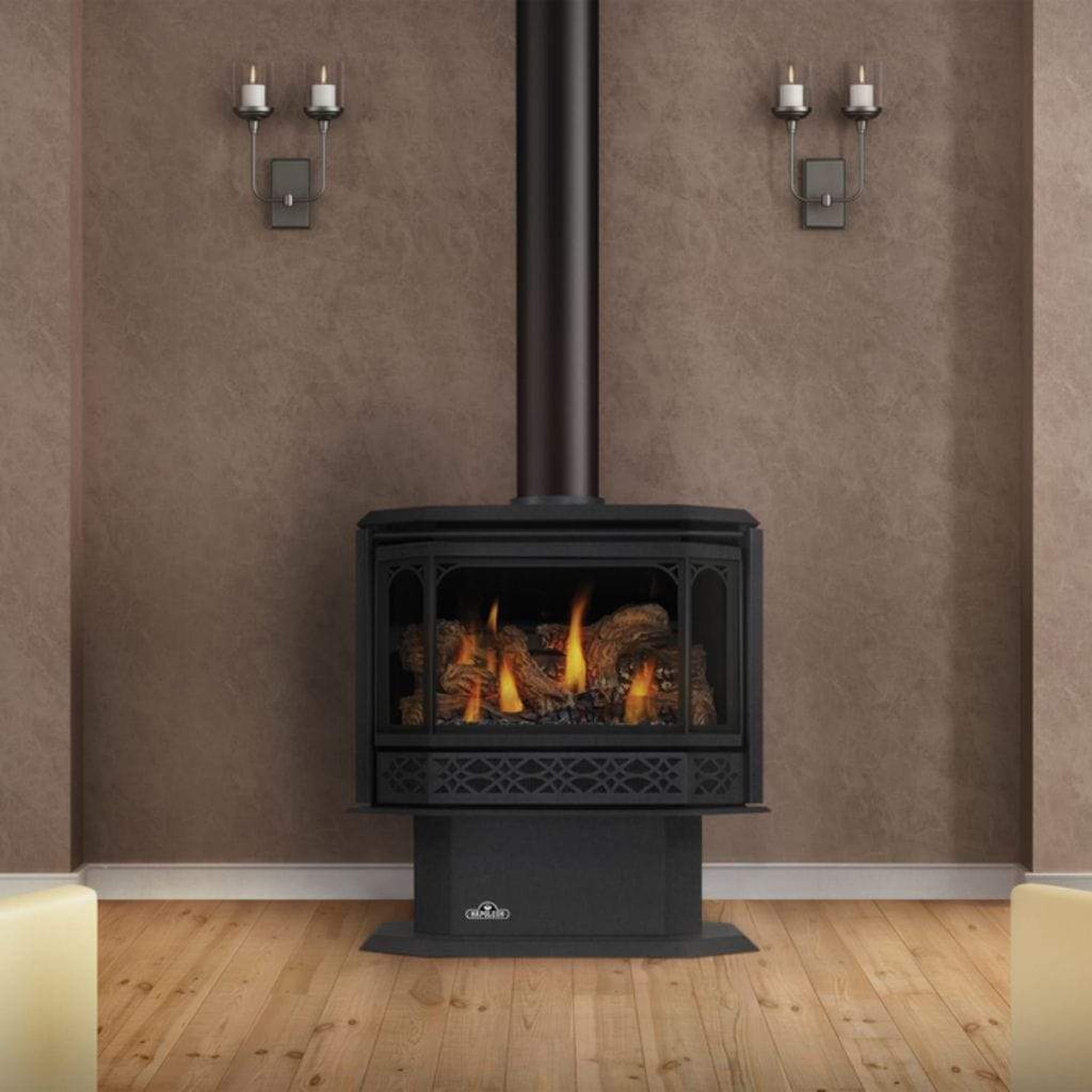 Napoleon Havelock 28" Black Direct Vent Gas Stove With Electronic Ignition