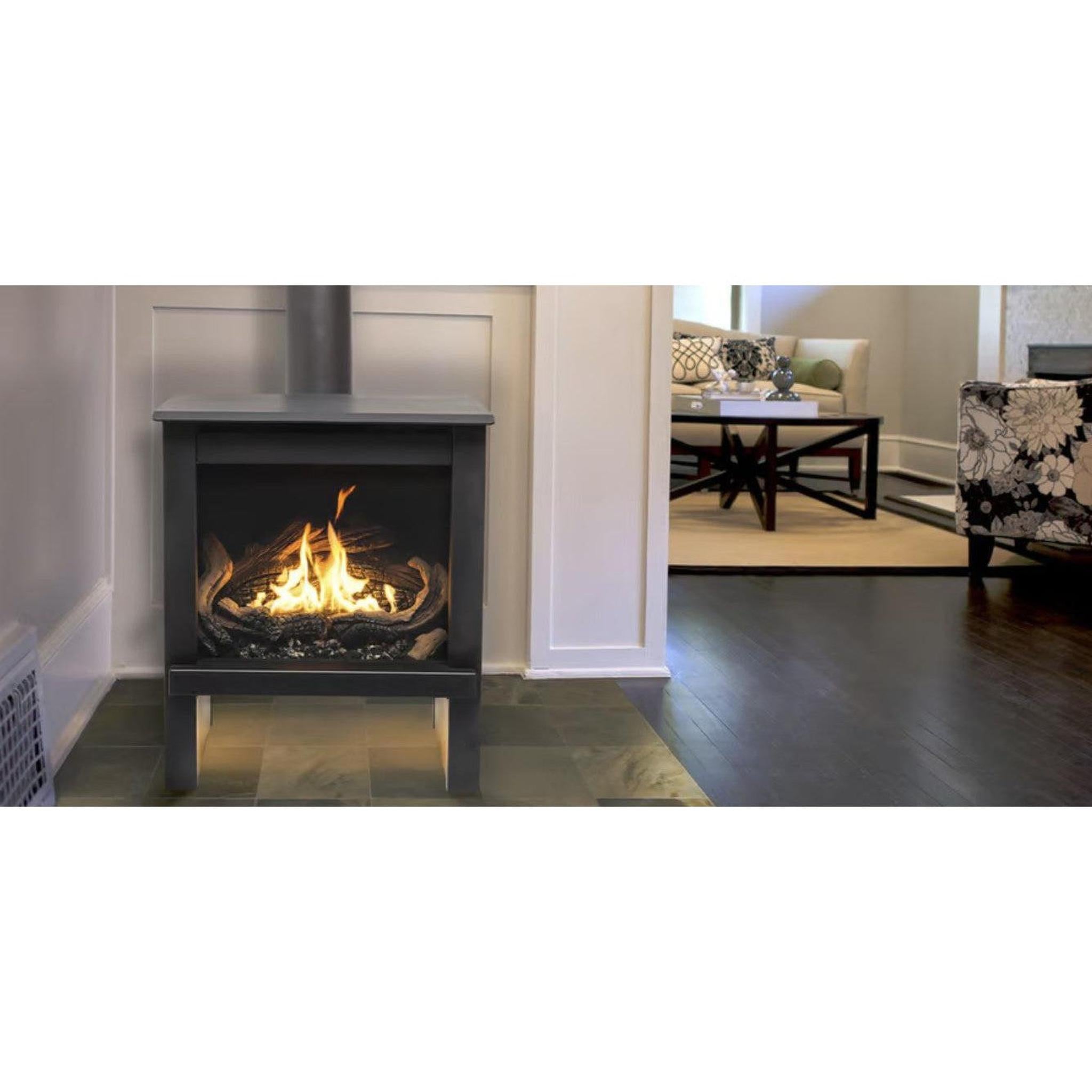 True North TN24 Free Standing Gas Stove