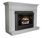 Ashley Natural Gas Stove AGVF340N fireplace