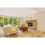 Empire Archway 2300 29" Wood stove Insert
