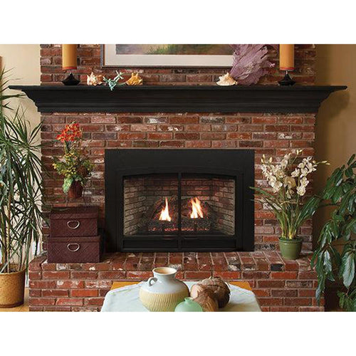 Empire Innsbrook 28" Natural Gas Direct Vent Fireplace Insert, Millivolt Control