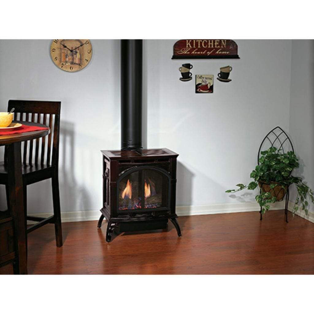 Empire Spirit 22" Natural Gas Stove Direct Vent Cast Iron Matte Black Finish