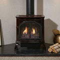 Empire Spirit 22" Natural Gas Stove Direct Vent Cast Iron Matte Black Finish
