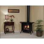 Empire Spirit 28 Inch Natural Gas Stove Direct Vent Cast Iron Porcelain Black Finish in a room with a side table